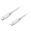 USB-PD TYPE-C Plug to USB TYPE-C Plug v3.1 60 Watt Cable - 1metre